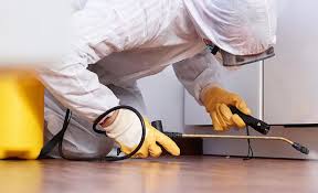 Best Pest Prevention Services  in Port Arthur, TX